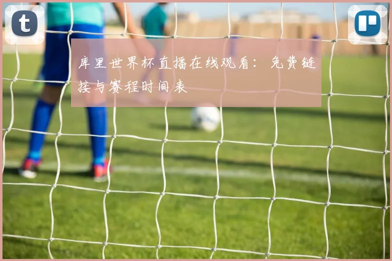 库里世界杯直播在线观看：免费链接与赛程时间表